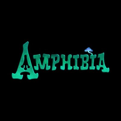 Amphibia Design 4 Tapestry Official Amphibia Merch