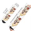 Sock for Men Anne Marcy Sprig And Polly Hip Hop Harajuku Amphibia Happy Quality Pattern Printed 2 - Amphibia Store